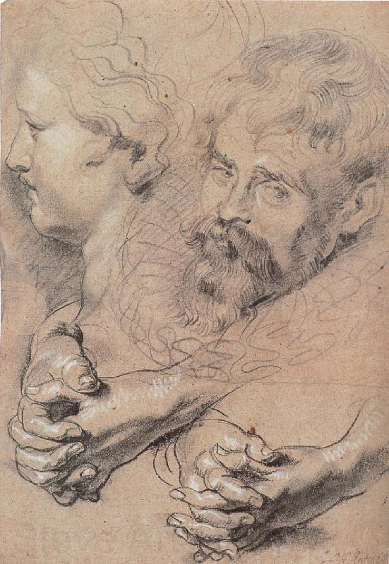 Peter Paul Rubens Head and hand-s pencil sketch Spain oil painting art